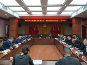 集團公司召開“服務集團發展大局，推進項目謀劃實施”..